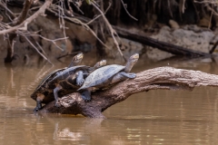 Ecuador-8