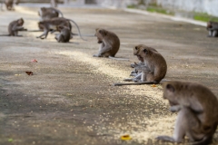 Indonesia-7