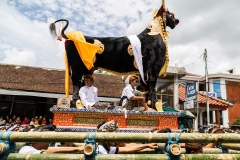 Indonesia-81