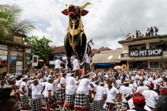 A King's Funeral in Ubud