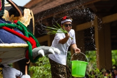 Water Blessings