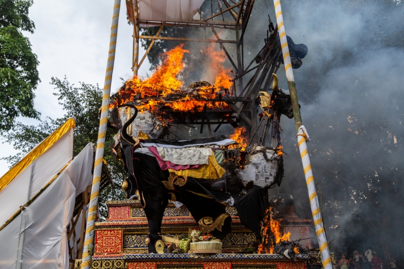 Burning the Kings' Bodies