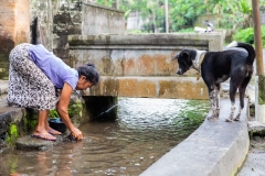 Shared water stream