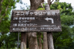 Japan-3