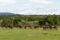 Kenya-10