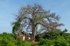 Kenya-108