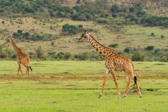 Kenya-17