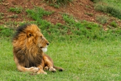 Kenya-24