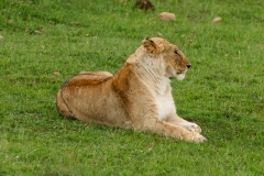 Kenya-25