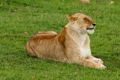 Kenya-27