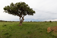 Kenya-3