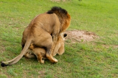 Kenya-30
