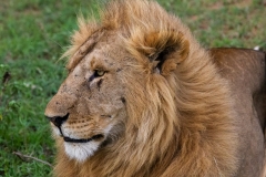 Kenya-34