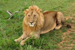 Kenya-35