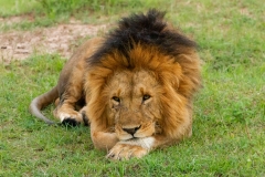 Kenya-36