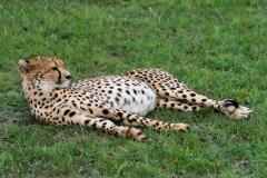 Kenya-38