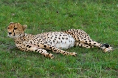 Kenya-39