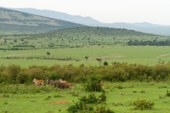Kenya-47