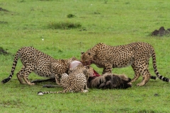 Kenya-56