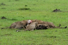 Kenya-57