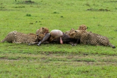 Kenya-60