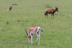 Kenya-65