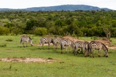 Kenya-9