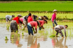 Laos-20-Edit-2