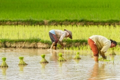 Laos-21
