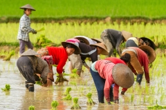 Laos-22-Edit