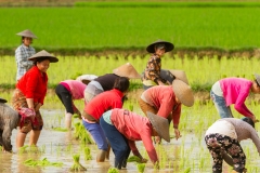 Laos-23