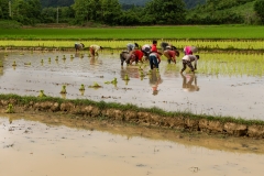 Laos-40-Edit