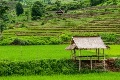 Laos-8
