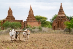 Myanmar-39-Edit