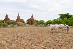 Myanmar-41