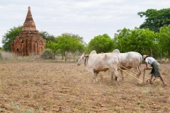 Myanmar-42