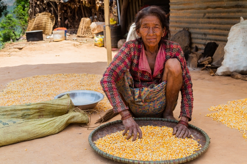 Nepalese Woman Sifting Corn