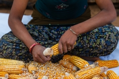 Nepal-148