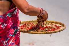 Sifting Spices