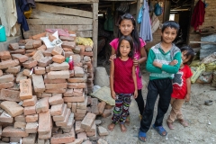 Reclaimed Bricks