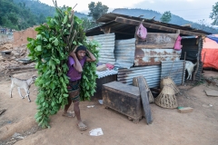 Nepal-268