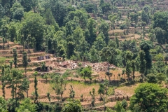 Nepal-301
