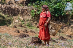 Nepal-377