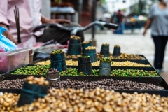 Nepal-55