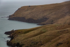 New-Zealand-1