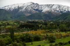 New-Zealand-10