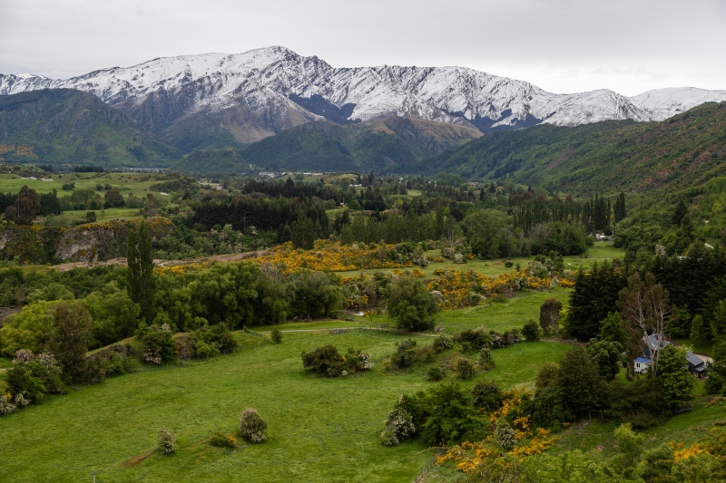 New-Zealand-12