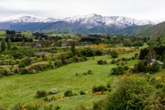 New-Zealand-9