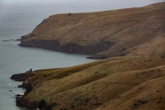 New-Zealand-1