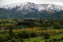 New-Zealand-10